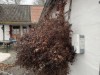Bild 24