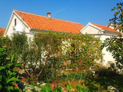 Ferieleilighet - 5 personer -  - Put Rancicevih - 23274 - Lukoran