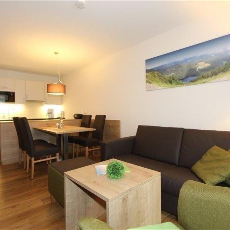 Ferielejlighed - 4 personer -  - Passhöhe - 79868 - Feldberg