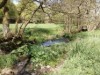 Bilde 35