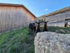 Billede 19