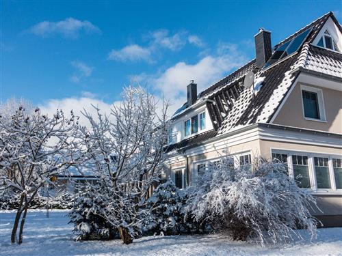 Ferienhaus - 6 Personen -  - Chausseestrasse - 18375 - Born Am Darß