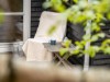 Bilde 25 - Terrasse