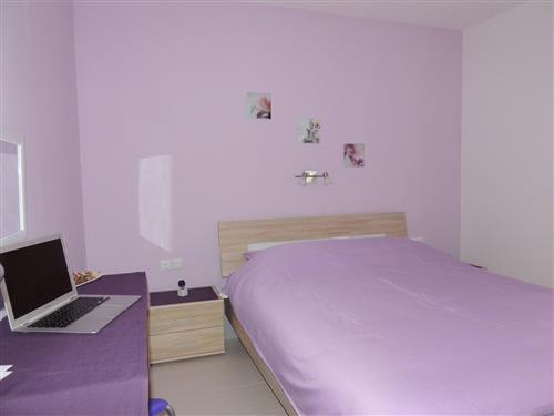 Ferieleilighet - 4 personer -  - Pag/Novalja - 53291