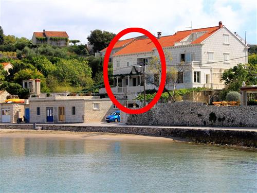 Ferieleilighet - 3 personer -  - Tatinja - 20263 - Lumbarda