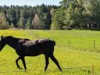 Bild 6 - Ude