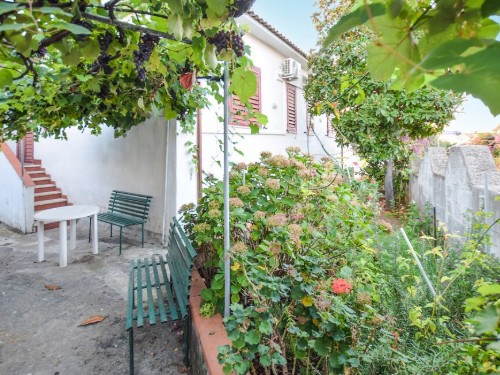 Semesterlägenhet - 4 personer -  - Via della Santa Croce - Santa Maria Di Castellabate - 84048 - Santa Maria Di Castell