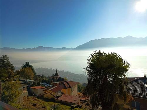 Holiday apartment - 4 persons -  - Via Patocchi - 6644 - Orselina