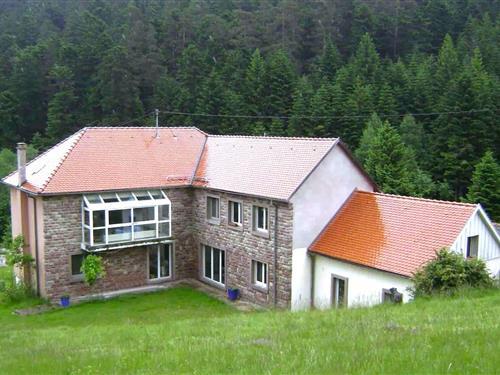 Holiday Home/Apartment - 6 persons -  - 67710 - Wangenbourg-Engenthal