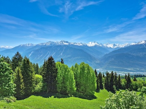 Ferieleilighet - 6 personer -  - 3963 - Crans-Montana