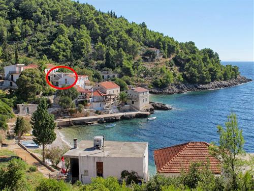 Holiday apartment - 4 persons -  - Tvrdni Dolac - 21467 - Gdinj-Virak