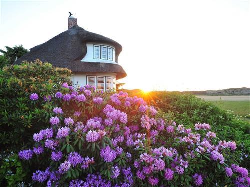 Ferienhaus - 2 Personen -  - Grönning - 25999 - Kampen Auf Sylt