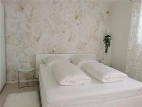 Holiday apartment - 3 persons -  - Fischerstraße - 77977 - Rust