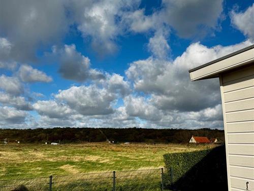 Feriehus - 4 personer -  - Schoneveld - 4511HR - Breskens