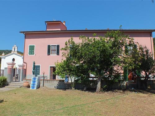 Feriehus / leilighet - 4 personer -  - Via della Costa - 57034 - Marina Di Campo