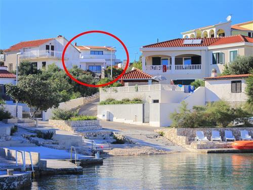 Ferieleilighet - 3 personer -  - Kanica - 22203 - Rogoznica