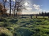 Bild 44 - Aussen