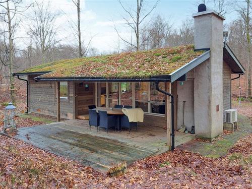 Ferienhaus - 4 Personen -  - Hjortahusvägen - Hjärnarp/Ängelholm - 266 97 - Hjärnarp