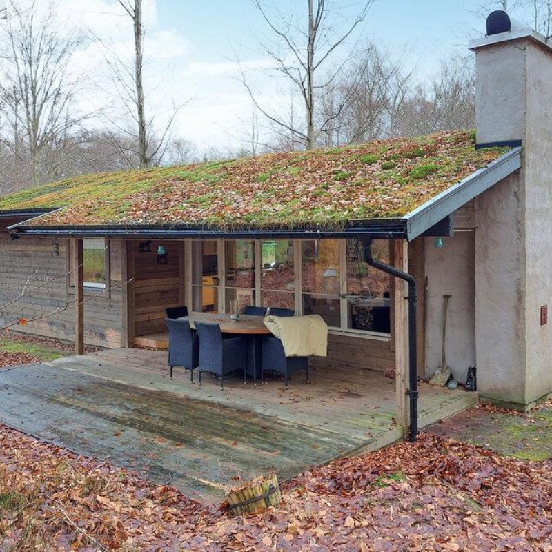 Sommerhus - 4 personer -  - Hjortahusvägen - Hjärnarp/Ängelholm - 266 97 - Hjärnarp