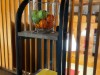 Bild 15