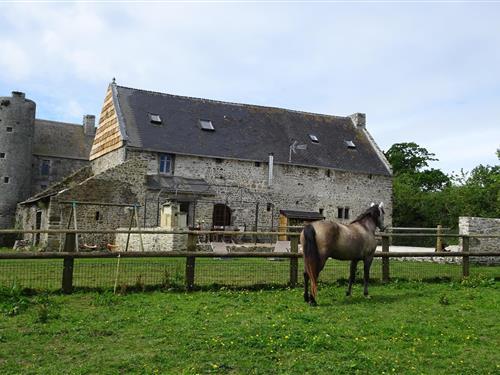 Sommerhus - 12 personer -  - 50580 - Saint Lô D'ourville