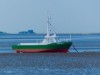 Billede 31