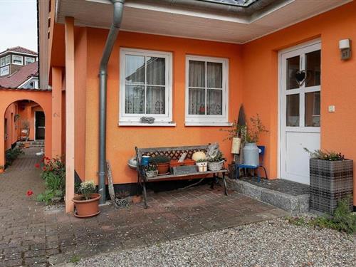 Sommerhus - 3 personer -  - 1837 - Zingst