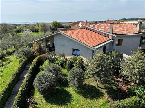 Ferieleilighet - 4 personer -  - Ul. Limido dele Roje - 52216 - Galižana