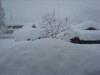 Bilde 5