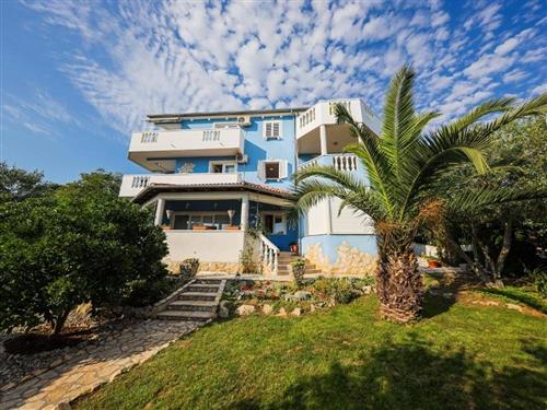 Ferienwohnung - 4 Personen -  - Put Svetog Bartula - 23231 - Kožino