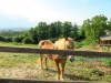 Image 32 - Outside