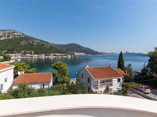 Holiday apartment - 4 persons -  - Radalj - Ploce-Klek - 20356 - Klek