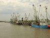 Billede 29