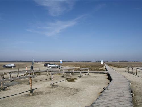 Sommerhus - 8 personer -  - 25826 - St. Peter-Ording