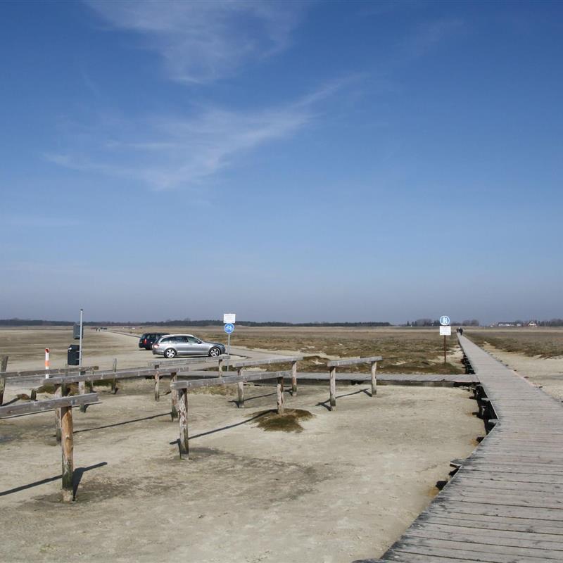 Sommerhus - 8 personer -  - 25826 - St. Peter-Ording