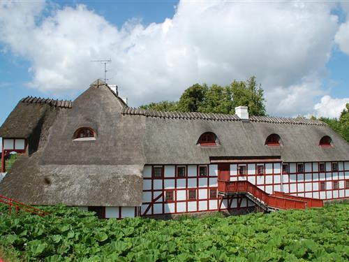 Sommerhus - 36 personer -  - Fåborgvej - Sydfyn - 5700 - Svendborg