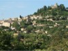 Bilde 8