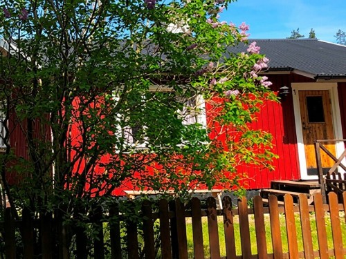 Sommerhus - 5 personer -  - Högklint Högklintsvägen - Gotland Högklint - 622 61 - Visby