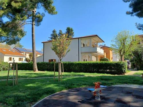 Ferieleilighet - 5 personer -  - Jurja Dobrile - 52466 - Novigrad