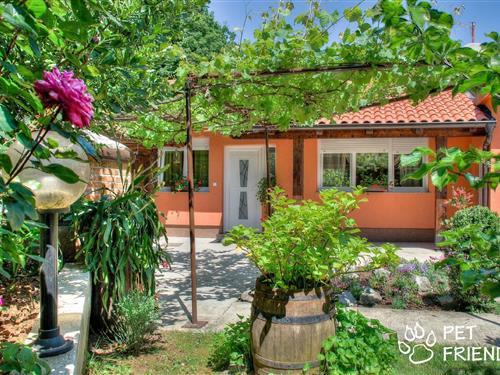 Holiday Home/Apartment - 4 persons -  - Ulica Viktora cara Emina - 51211 - Matulji