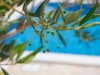 Bild 24 - Aussen