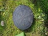 Bild 19