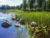 Bilde 22 - Inne