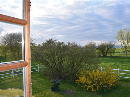 Ferielejlighed - 4 personer -  - Hengstkamp - 23775 - Großenbrode-Klaustorf