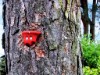 Bild 16 - Ude
