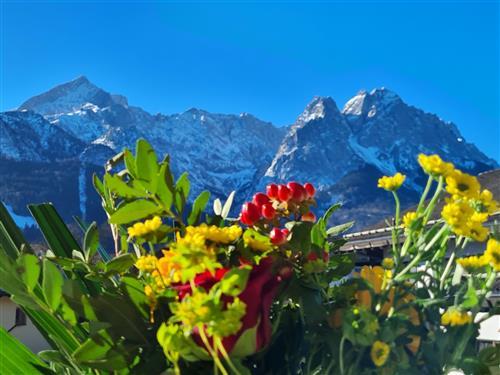 Holiday apartment - 4 persons -  - Zugspitzstraße - 82467 - Garmisch-Partenkirchen