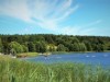 Bild 18
