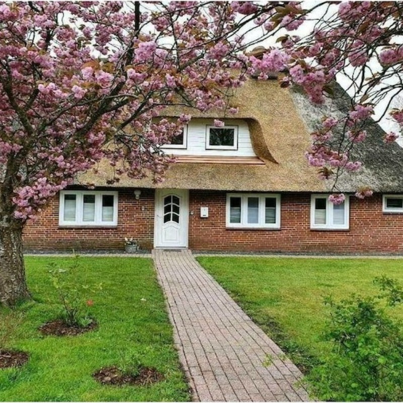 Sommerhus - 4 personer -  - 25852 - Bordelum\/Sterdebüll