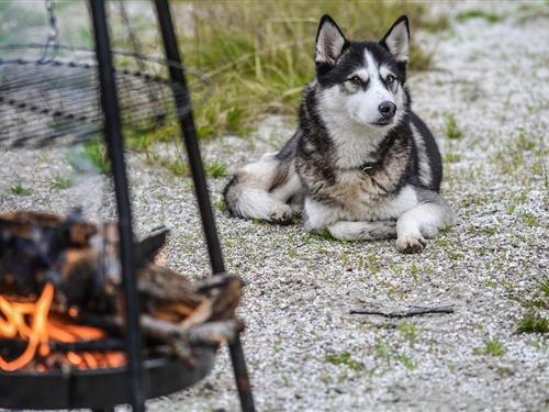 Feriehus / leilighet - 8 personer -  - Graben - 34253 - Lohfelden