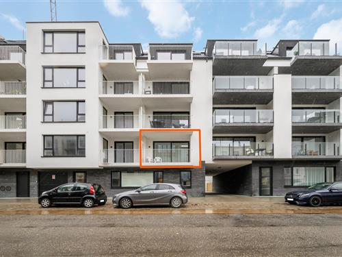 Semesterlägenhet - 6 personer -  - 8370 - Blankenberge